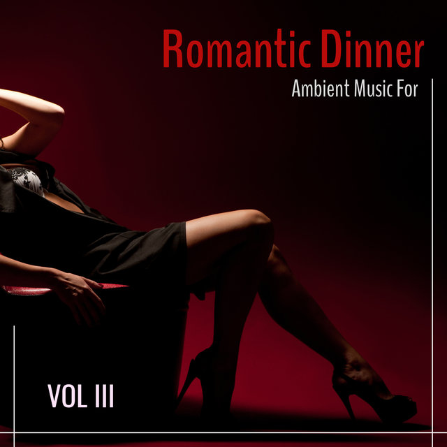 Romantic Dinner : Ambient Music For Vol III