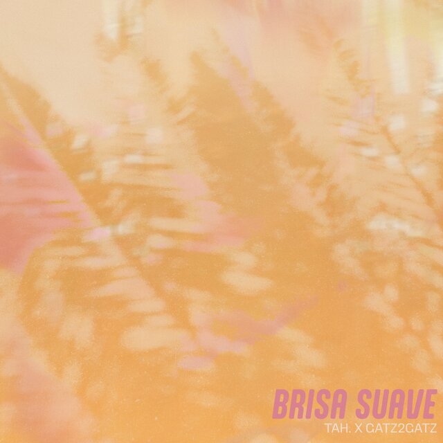 Brisa Suave