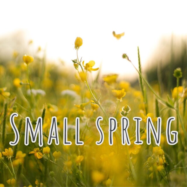 Small spring