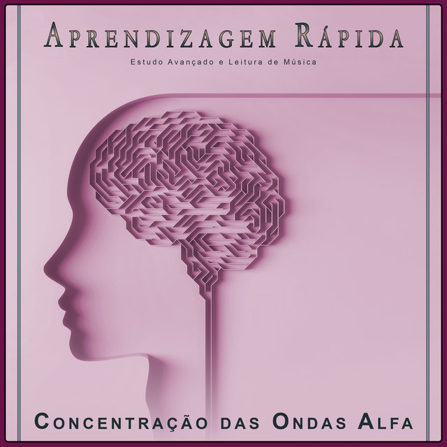 Aprendizagem Rápida: Estudo Avançado e Leitura de Música