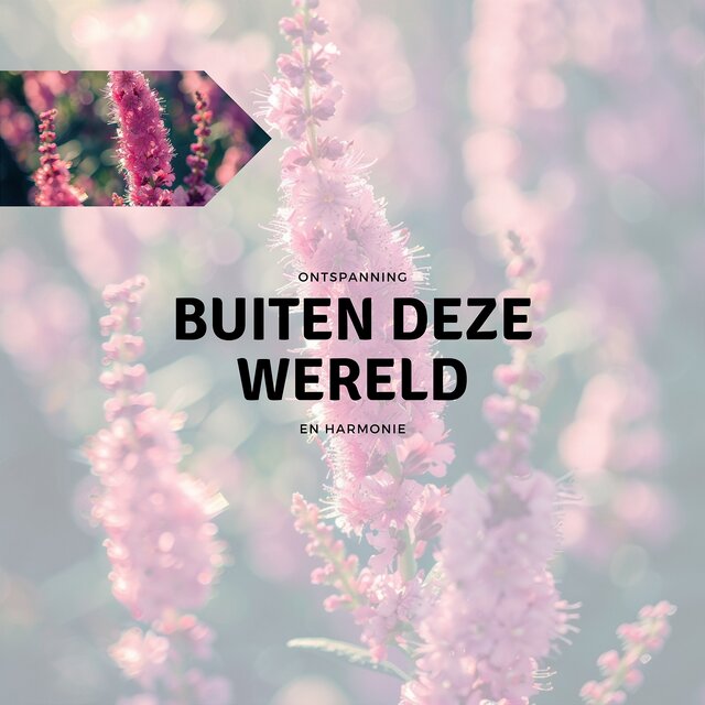 Buiten Deze Wereld