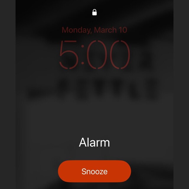 La Alarma