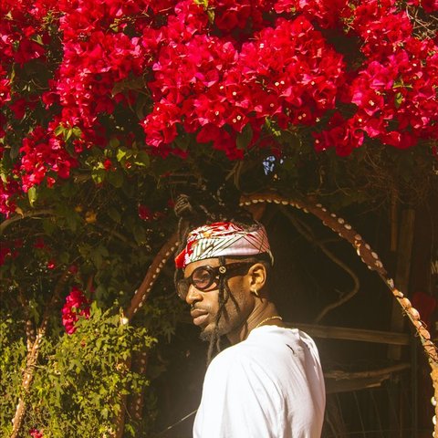 Jazz Cartier On Tidal jazz cartier on tidal