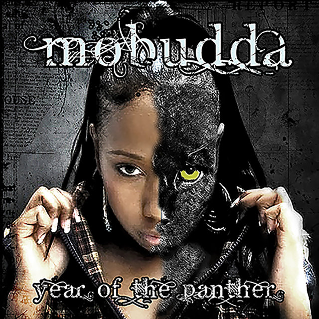 Year Of The Panther