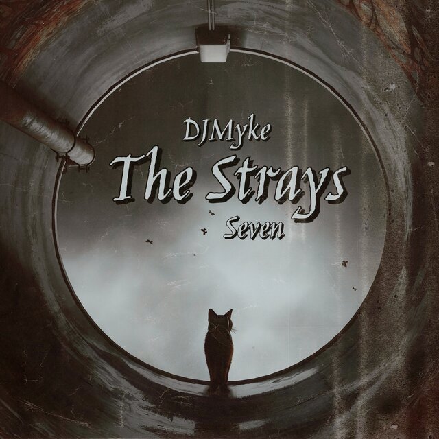 THE STRAYS (Seven)