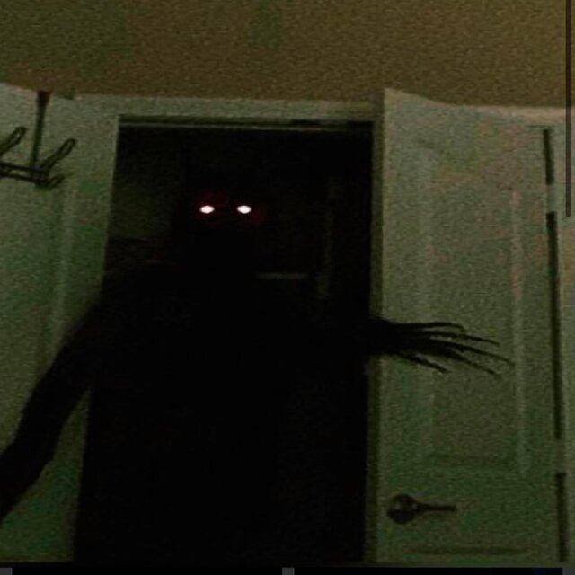 stalking