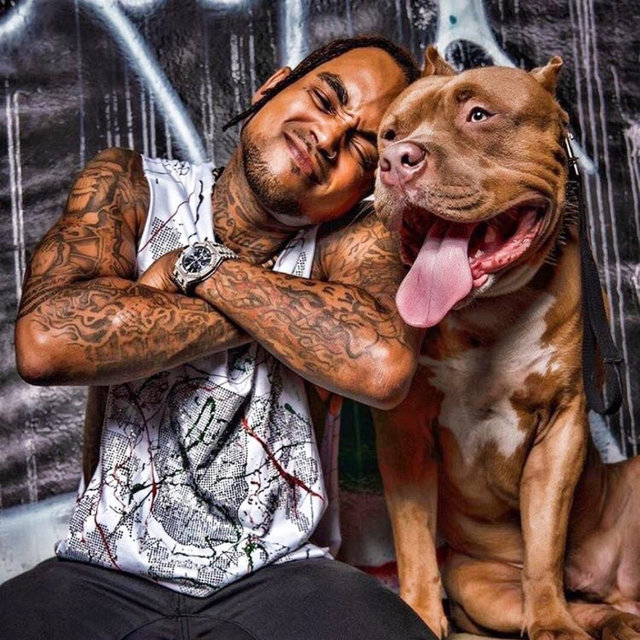 Honcho 2x