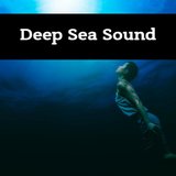 Call of the Ocean