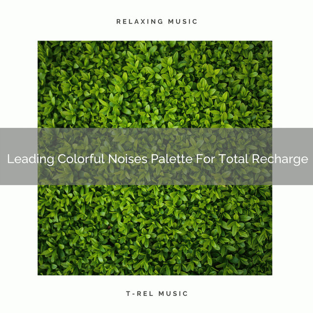 Leading Colorful Noises Palette For Total Recharge