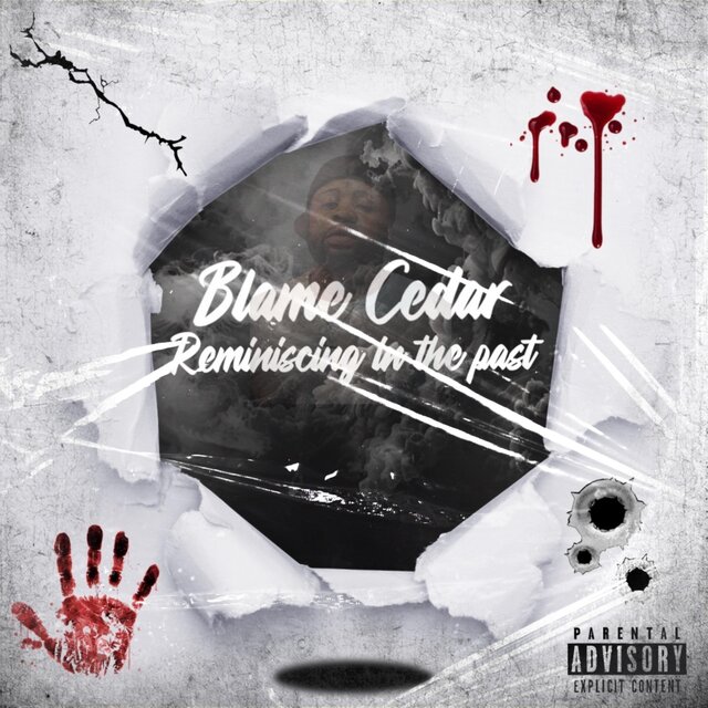 Blame Cedar Reminiscing In The Past