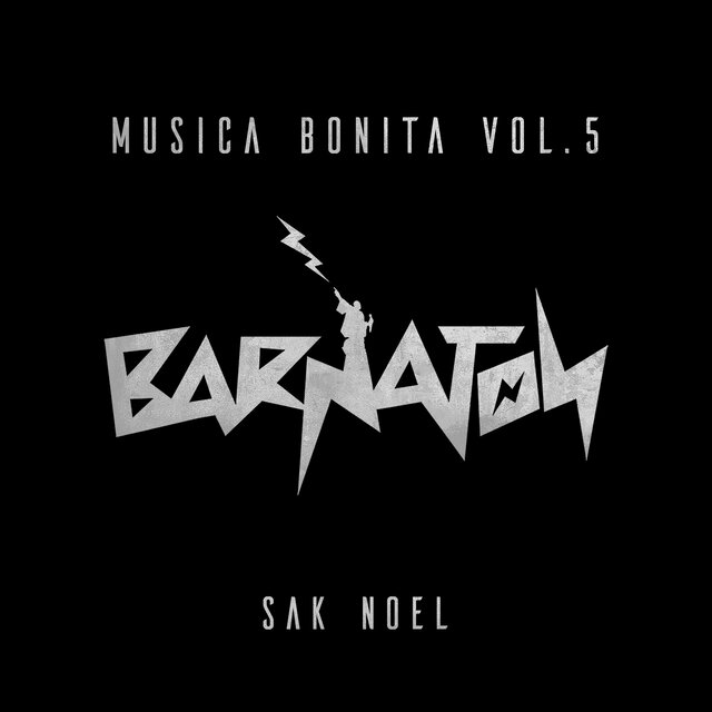 Musica Bonita, Vol. 5