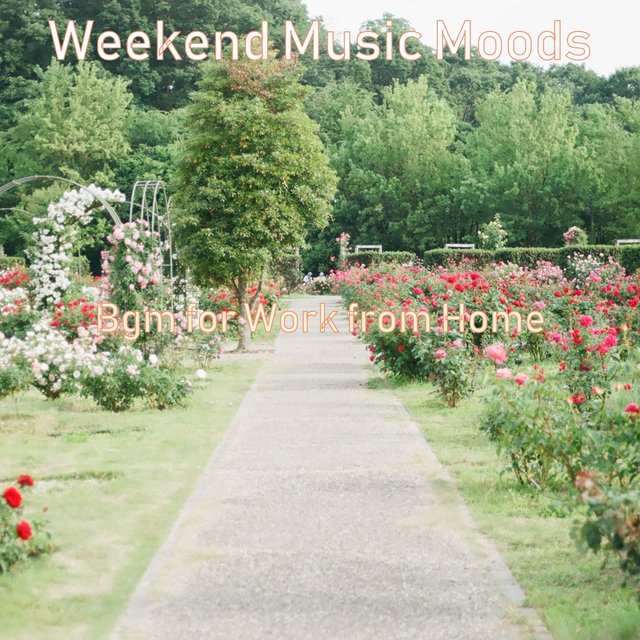 Bgm for Work from Home