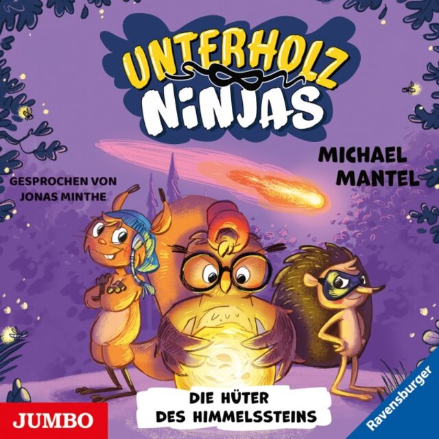 Unterholz-Ninjas. Die Hüter des Himmelssteins (Band 2)
