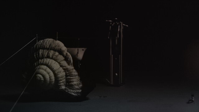 SHELL ( OF A MAN )