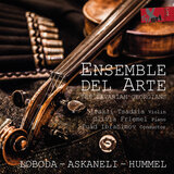 Violin Concerto, Op. 126: II. Largo ma non troppo (Live)