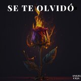 Se Te Olvidó
