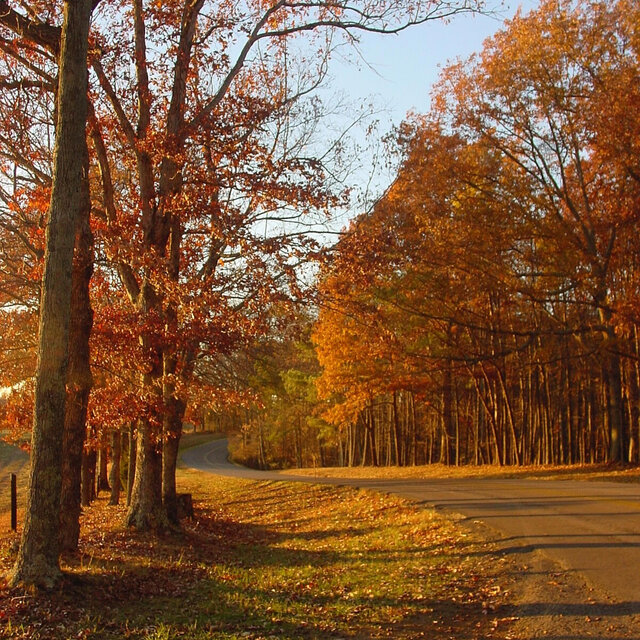 Fall