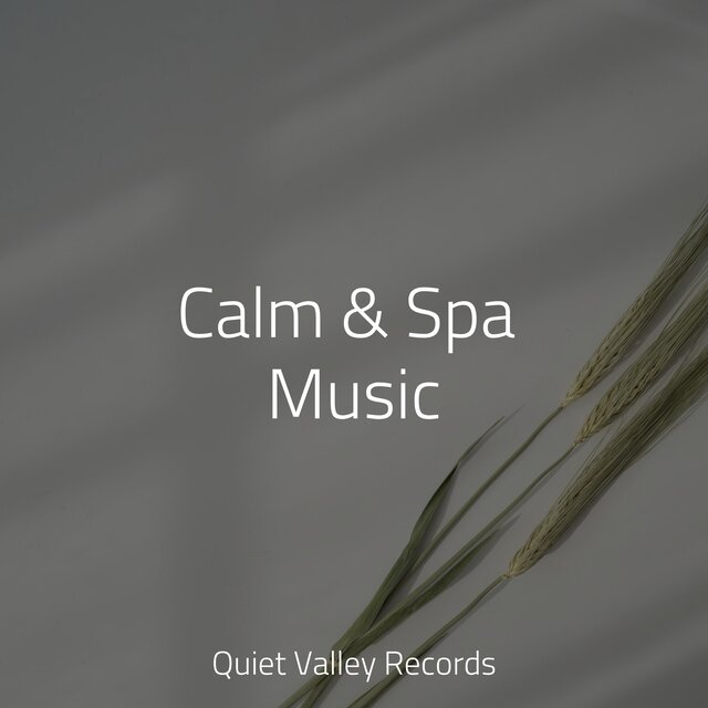 Calm & Spa Music