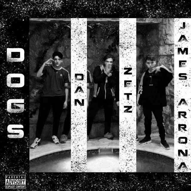 Dogs