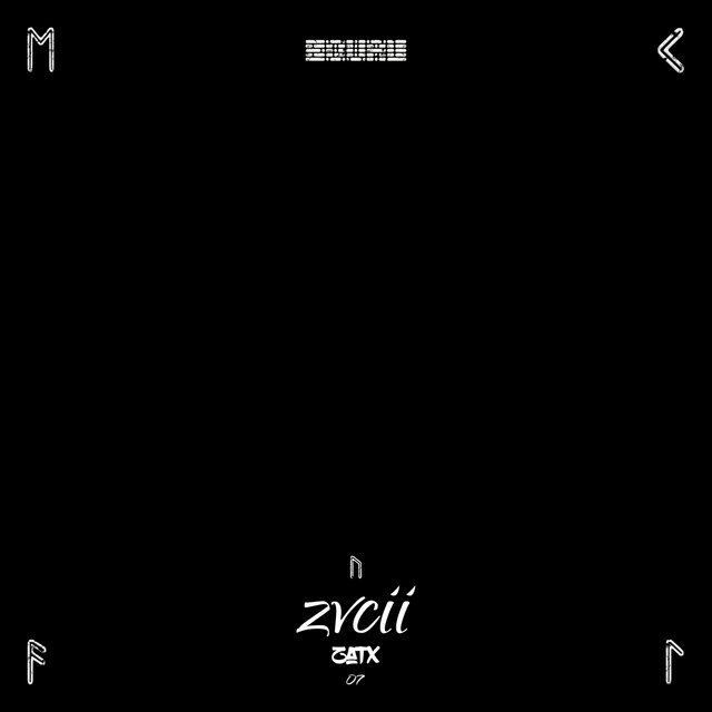 ZVCII (07)