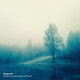 Cover art for album Morphing Between Spaces and Phases by Skyggespill, Kjetil Husebø