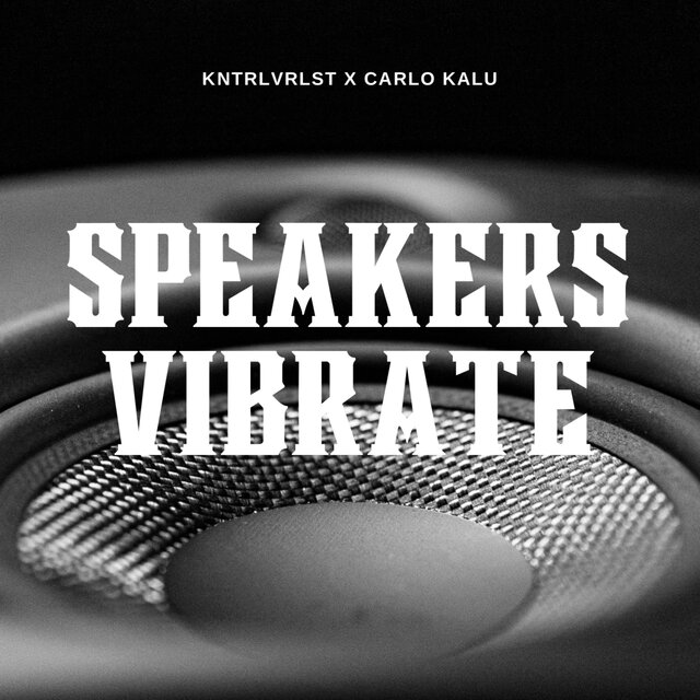 SPEAKERS VIBRATE