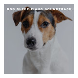 Dog Piano XXIV