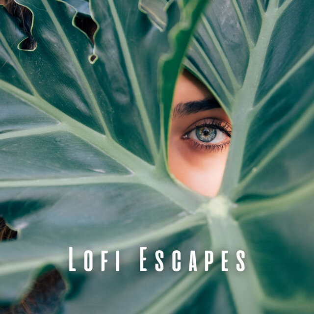 Lofi Escapes: Tranquil Sounds for Spa Sessions