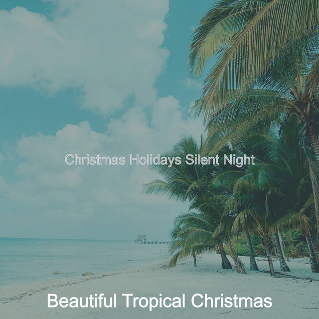Christmas Holidays Silent Night