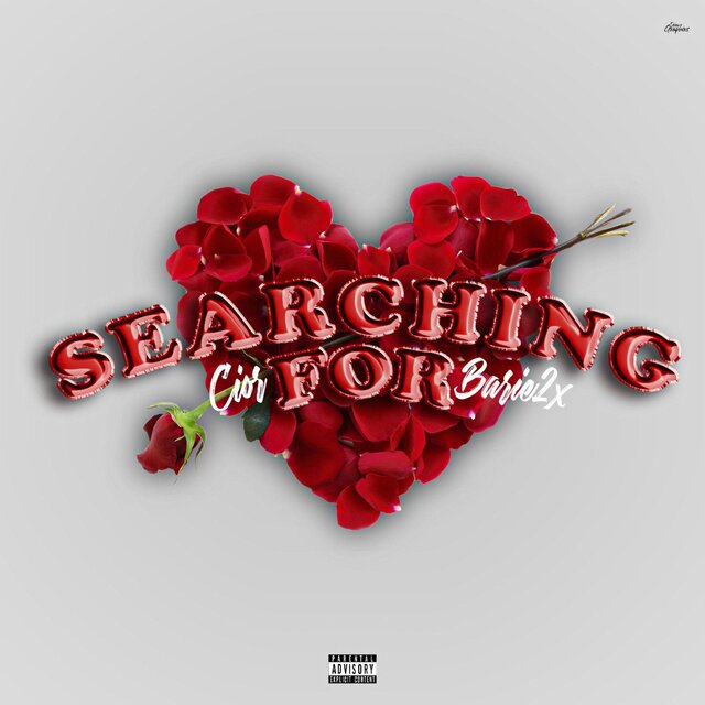 Searching For (feat. Barie2x)