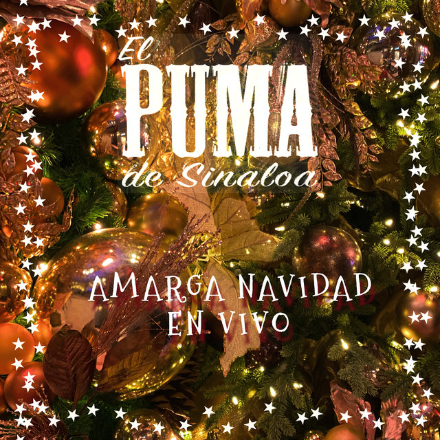 Amarga Navidad (En Vivo)