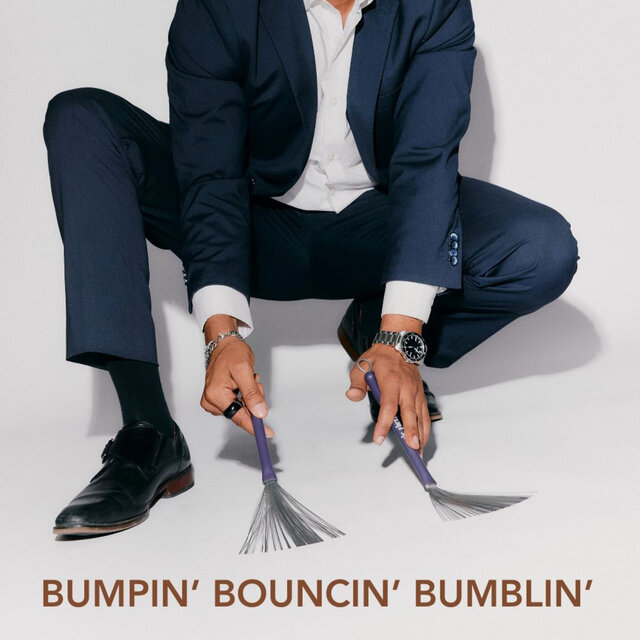 Bumpin' Bouncin' Bumblin'