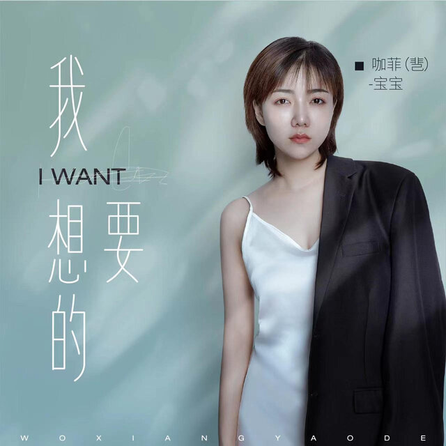 我想要的 (DJ阿卓版)