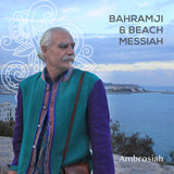 Poetic Santoor
