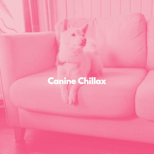 Canine Chillax
