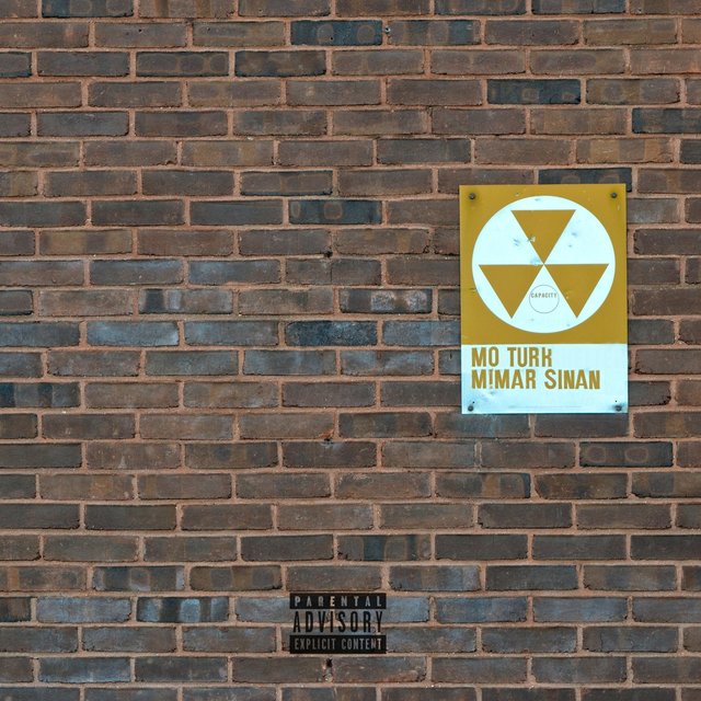 Bricks