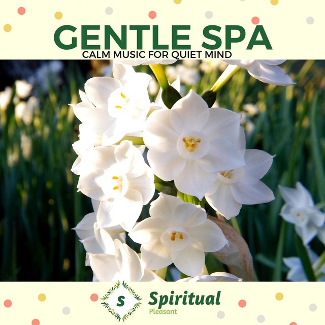 Gentle Spa - Calm Music For Quiet Mind
