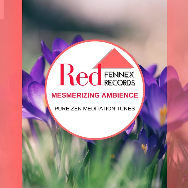 Mesmerizing Ambience - Pure Zen Meditation Tunes