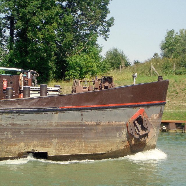 Ms Carina