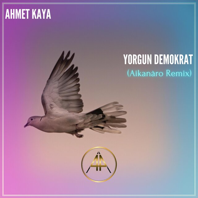 Yorgun Demokrat