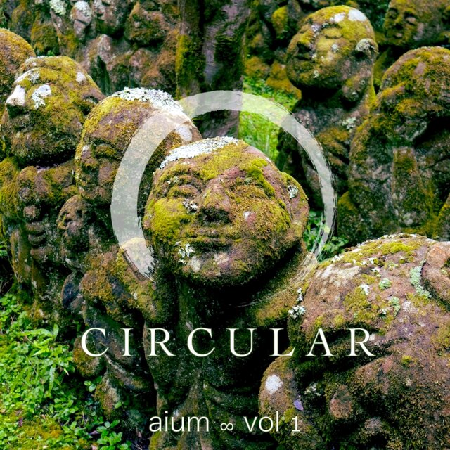 Aium Vol. I