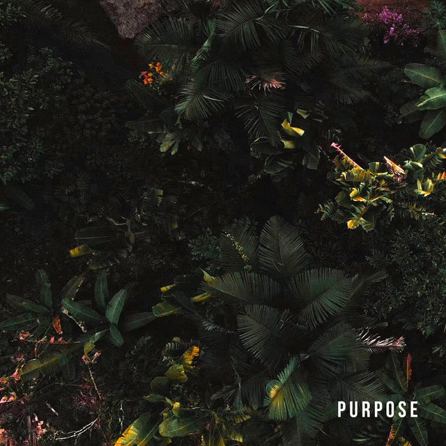 Purpose