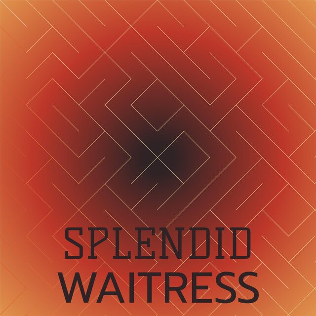 Splendid Waitress