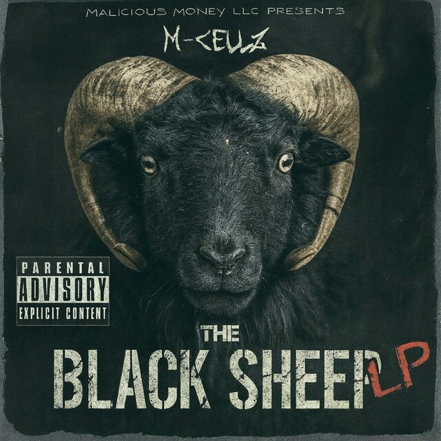 The Black Sheep