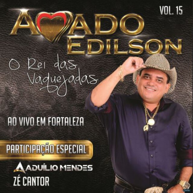 Ao Vivo em Fortaleza, Vol 15