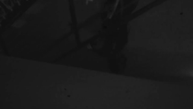 The Bag
