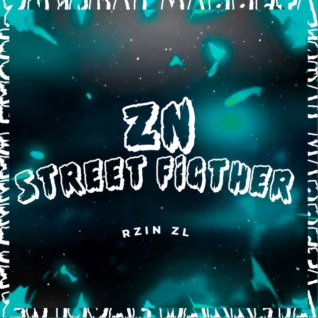 ZN STREET FIGTHER