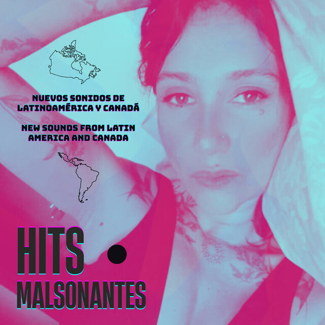 Cover art for album Hits Malsonantes by User