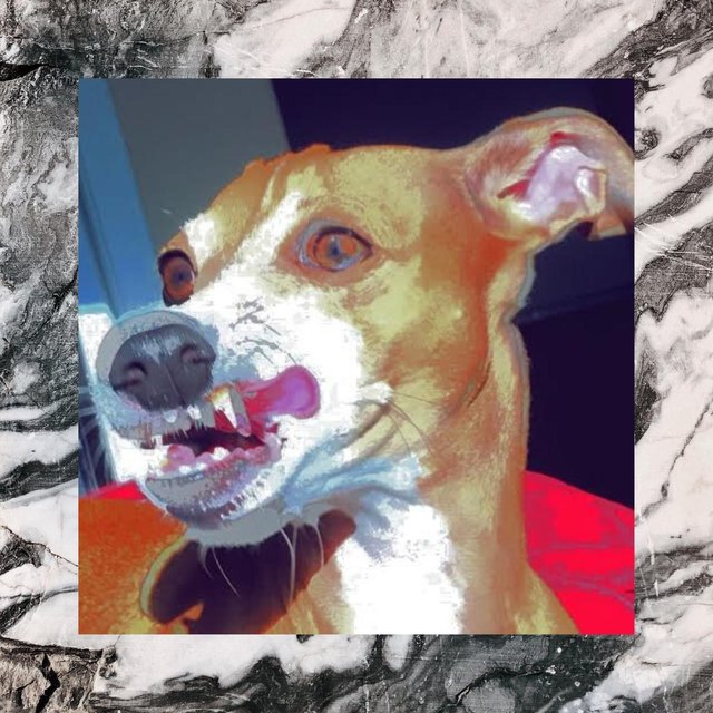 Debut Demos