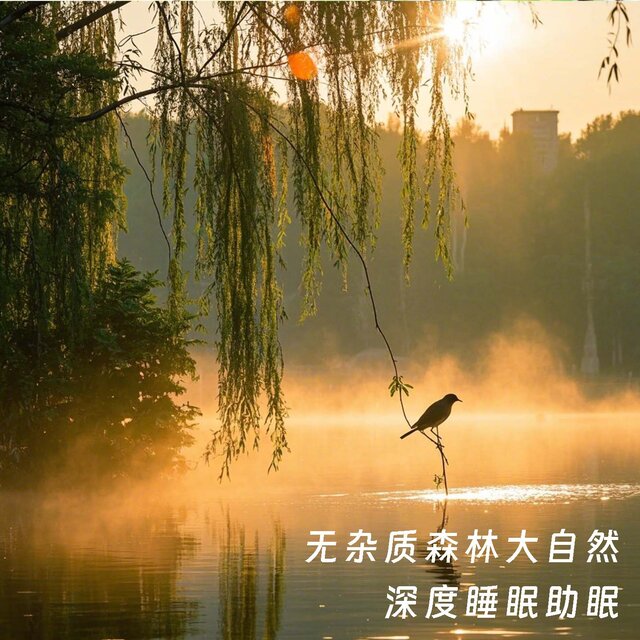 无杂质森林大自然 深度睡眠助眠